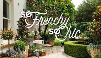 So Frenchy So Chic | Plant Package